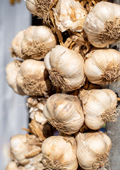 Fresh with healthy garlic vegetables on a food market