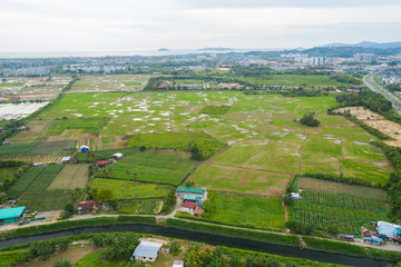 Naklejka premium Aerial view of beautiful paddy field surrounding by small town at Penampang, Sabah, Borneo 
