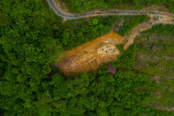 Top view of the the beautiful green rainforest of Sabah, Borneo