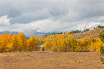 Fototapeta premium Scenic Autumn Landscape in the Tetons