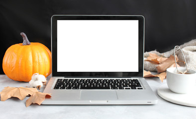 Front view of laptop and blank screen.