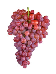 Purple grapes isolated on white