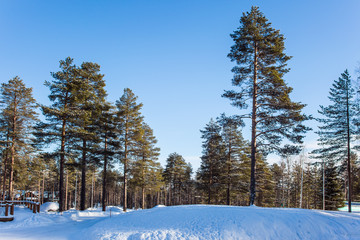 The northernmost zoo