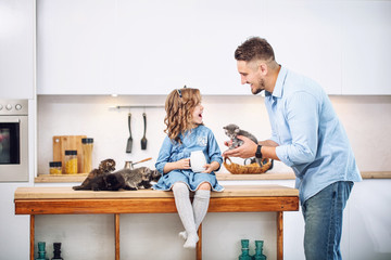 Family, father and sweet daughter happy together with little fluffy kittens in the kitchen in a bright home interior