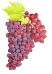 Purple grapes isolated on white