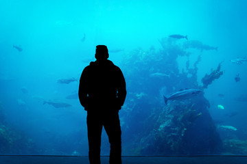 Man looking at fish silhouette in aqua land/aquarium. Fish, marine, underwater, zoo concept.