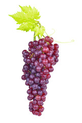 Purple grapes isolated on white background