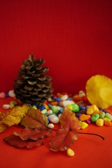 christmas, decoration, holiday,