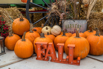 Fall display - Powered by Adobe
