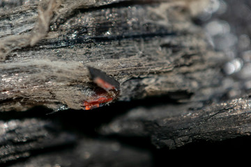 Macro shooting of embers from the fire.