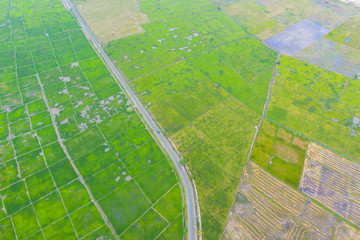 Fototapeta premium Aerial drone image of Beautiful Paddy village rice farm view at Kota Belud, Sabah, Borneo