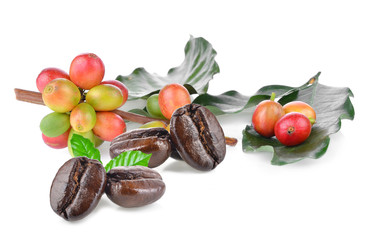  coffee beans  isolated on white background
