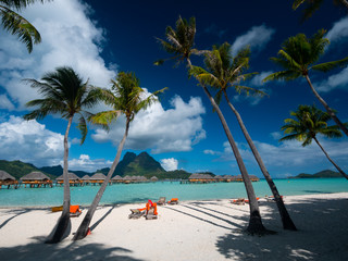 Luxury overwater villas with palm trees, blue lagoon, white sandy beach and Otemanu mountain at...