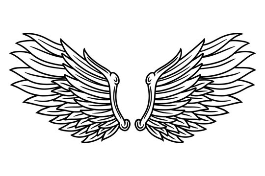 Vintage retro wings angels and birds isolated vector illustration in tattoo style. Design element.
