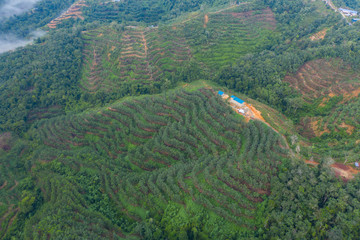 Amazing drone image of beautiful nature deep rainforest jungle with houses at Sabah, Borneo