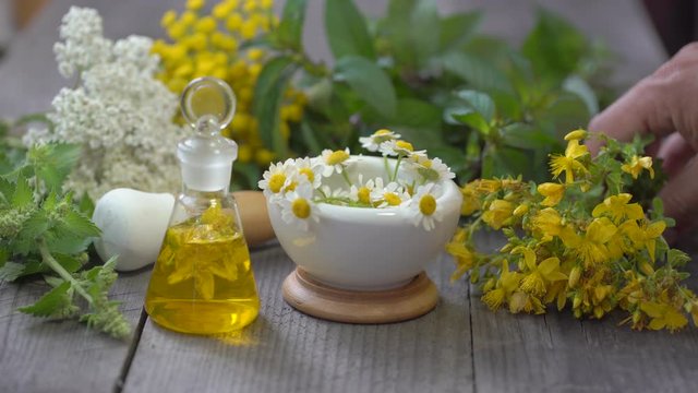 fresh healing medicinal herbs plants on wooden table, Alternative natural herbal medicine. mortar with chamomile, essential oil. Yarrow mint Melissa Hypericum tansy. herbal cosmetics, healthy tea, 4 K