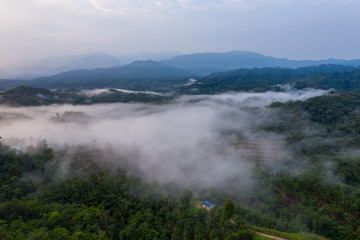 Aerial drone image of beautiful tropical rainforest forest in Sabah  Borneo (image slightly soft focus and noise)