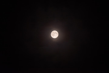 満月