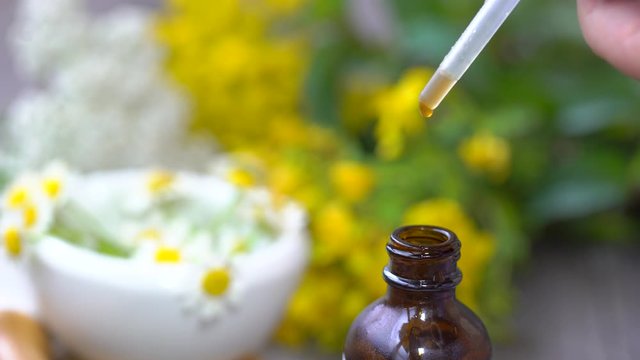homeopathy, close up of droplet dosing herbal pharmaceutical oil on background fresh healing medicinal herbs, Alternative natural herbal medicine. Chamomile Yarrow mint Melissa Hypericum tansy. 4 K