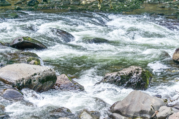 Snoqualmie River Whitewater Rapids 6