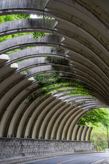 肋状のトンネル