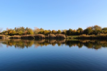 Fototapeta na wymiar Lake shoreline reflecting in the water with a cloudless clear blue sky