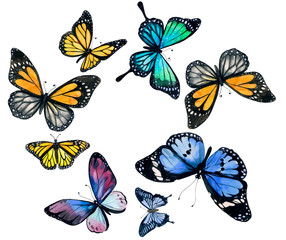 set of colorful butterflies