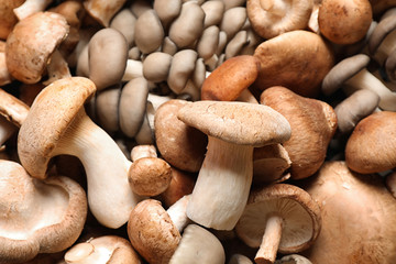 Different fresh wild mushrooms as background, closeup