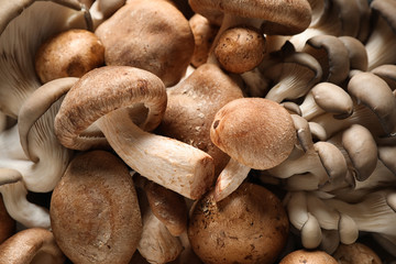 Different fresh wild mushrooms as background, closeup
