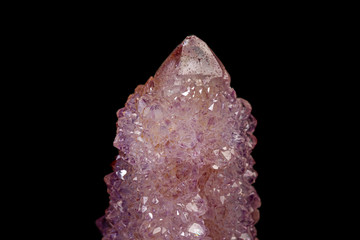 macro mineral stone amethyst cactus on a black background