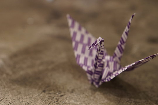 Colorful origami crane with copy space