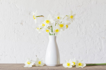 daffodils in white vase on white background