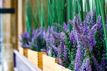 Naklejka premium Purple curvy flowers on the windowsill