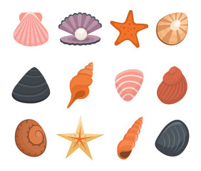 Cartoon Color Various Shells Icon Set. Vector