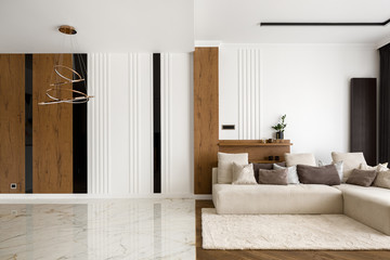 Elegant living room
