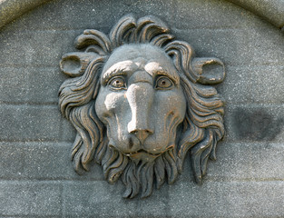  Lion head sculpted in stone