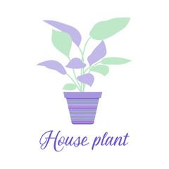 Vector Potted house plant Green natural decor