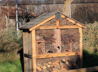 refuge pour insectes
