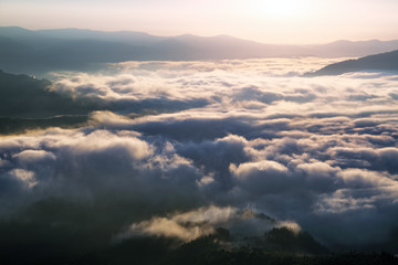 Dense fog with amazing light. A beautiful landscape with high mountains. Majestic spring morning. Location place Carpathian, Ukraine, Europe.