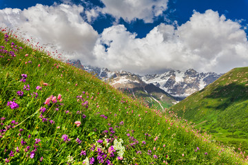 Beautiful summer mountain landscape, high peaks, green grass, blooming flowers and blue sky. - 300728765