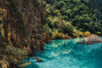 Autumn forest on a mountain slope is reflected in a pond with turquoise water.