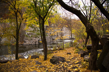Incredible landscape. View from the shore on the river and rocks. The land is covered with beautiful leaves. Walk through the canyon.