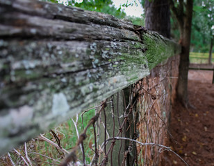 Forgotten Fence