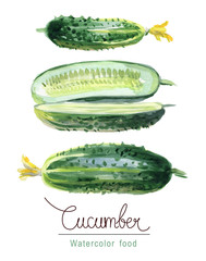 Set of cucumbers with flower buds. Watercolor botanical sketch. - 300729973