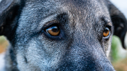 F, Bretagne, Finist&egrave;re, K&uuml;ste,