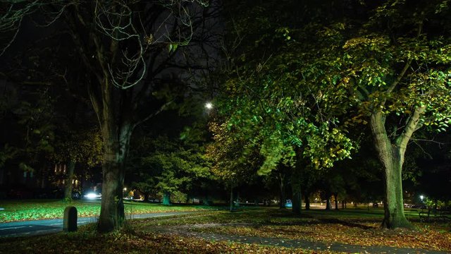 Time lapse of car light trails through city park with Autumn leaves