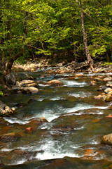 Fototapeta na wymiar Bubbline River flowing over rocks in a mountain park
