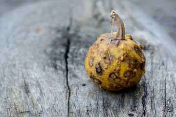 Decorative rotten pumpkin on a wooden background