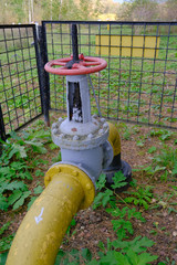 Fototapeta premium The pipeline with a valve leaves the ground in the forest belt.