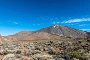 wild landscape of teide national park in tenerife, Spain.